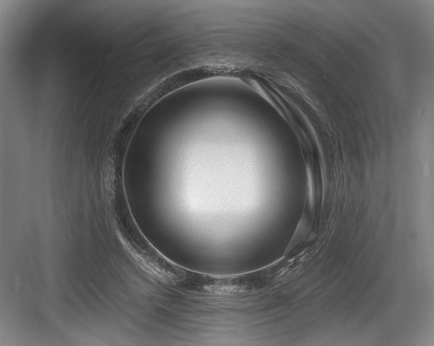 X0000084010448200702161206