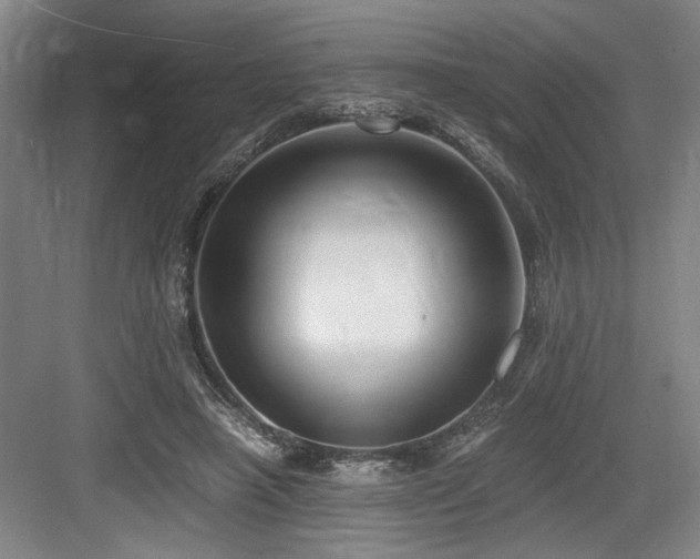 X0000084010450200702161206