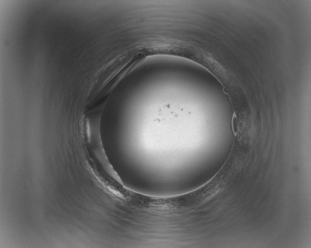 X0000084010454200702161206