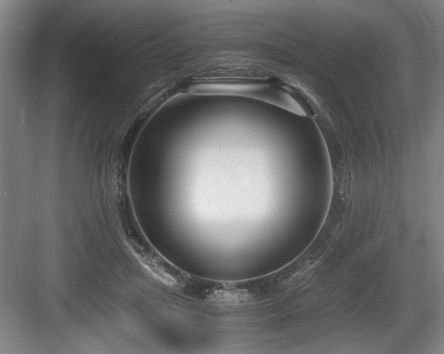 X0000084010455200702161206