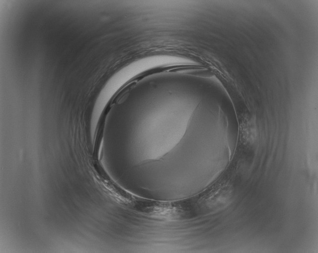 X0000084010458200702161206