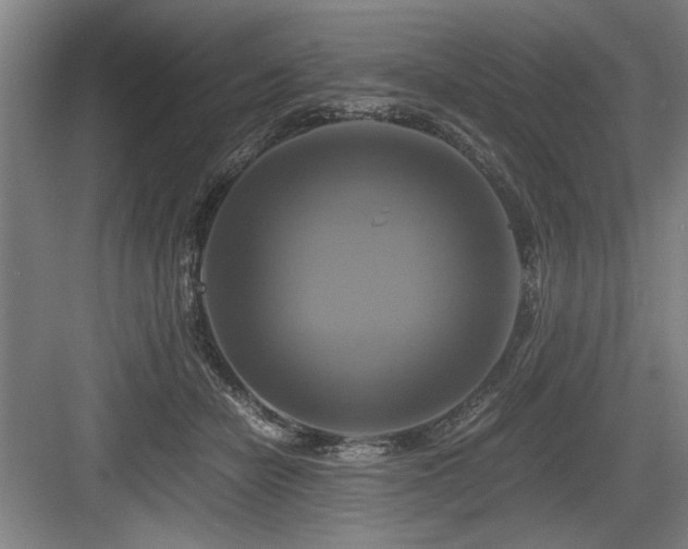 X0000084010462200702161206
