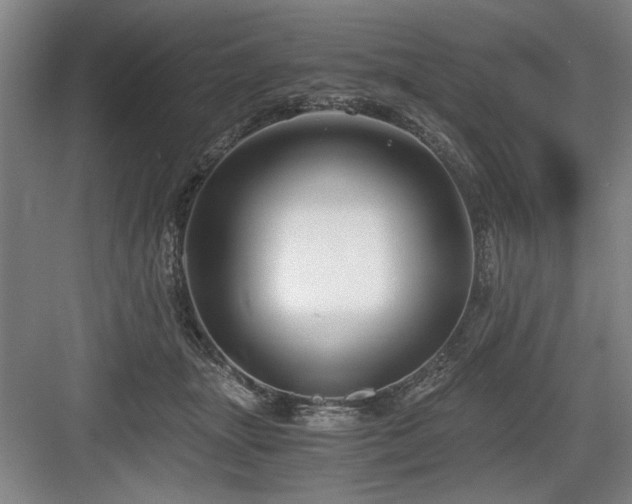 X0000084010463200702161206