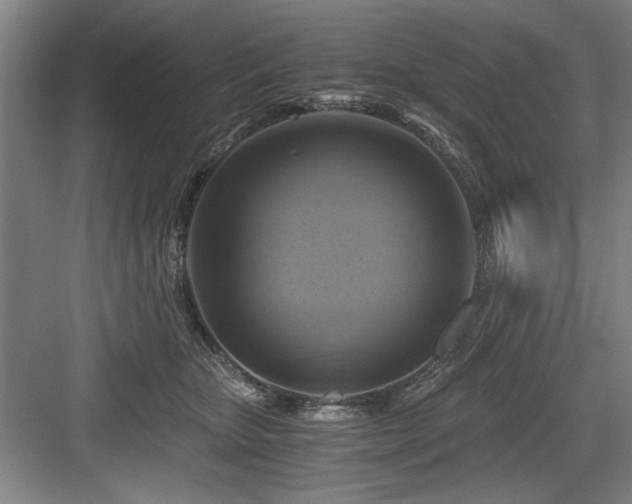 X0000084010467200702161206