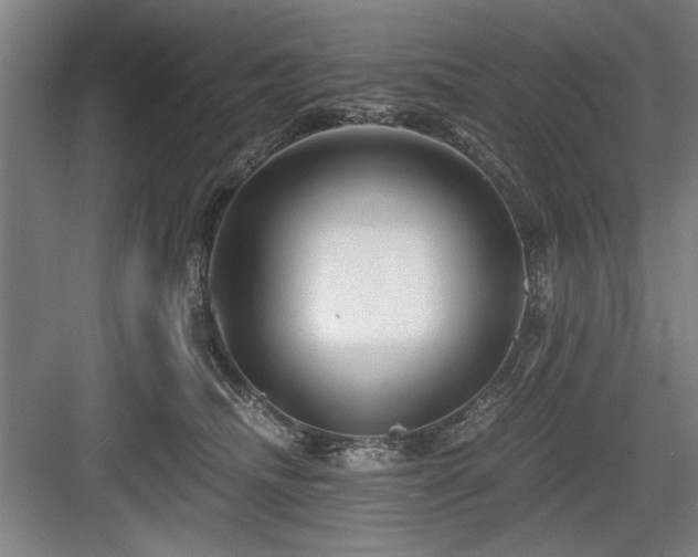 X0000084010468200702161206