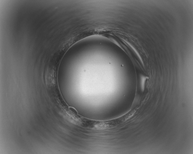 X0000084010470200702161206