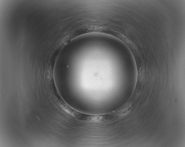X0000084010474200702161206