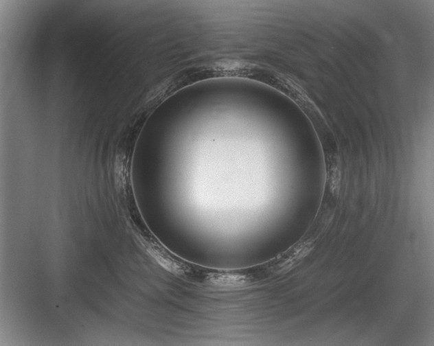 X0000084010476200702161206