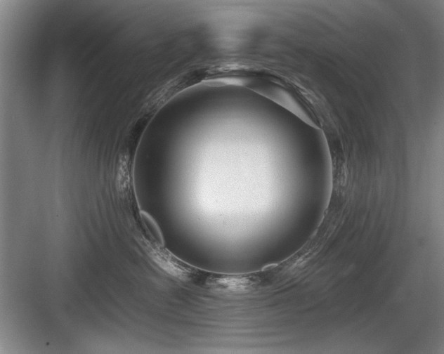 X0000084010478200702161206