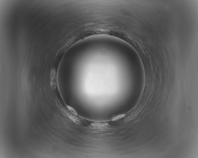 X0000084010480200702161206