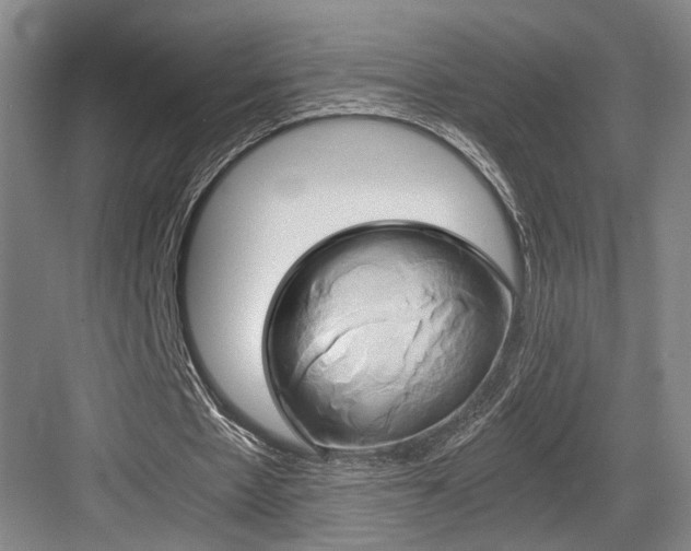 X0000084010481200702161205