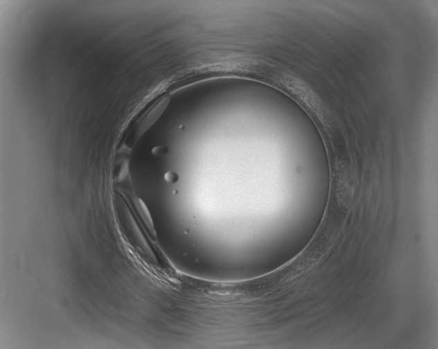 X0000084010482200702161205