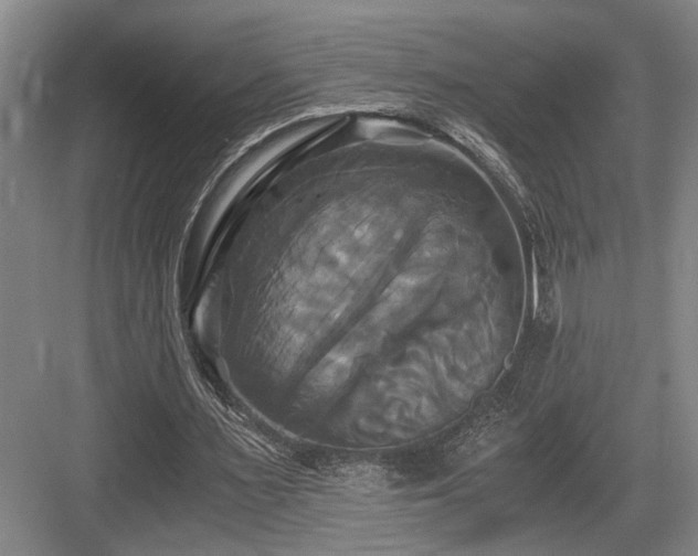 X0000084010483200702161205
