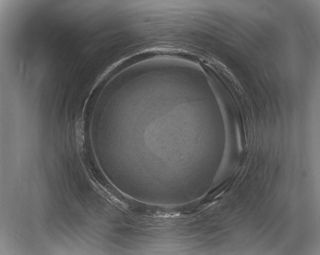 X0000084010484200702161205
