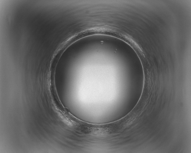 X0000084010486200702161205