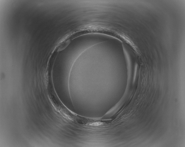 X0000084010488200702161205
