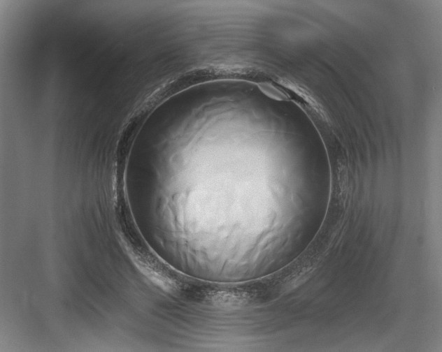 X0000084010494200702161205