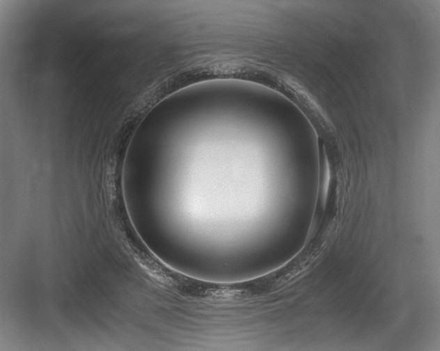 X0000084010497200702161205