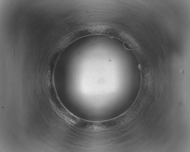 X0000084010498200702161205