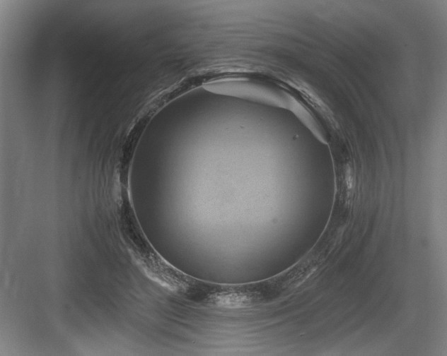 X0000084010500200702161205