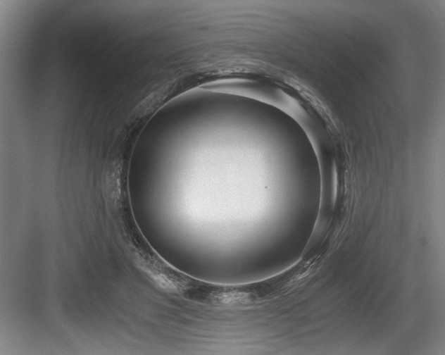 X0000084010501200702161205