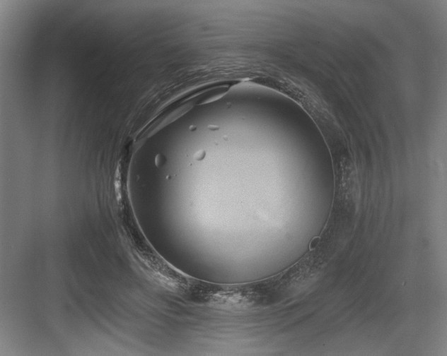 X0000084010502200702161205