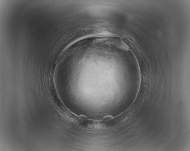 X0000084010503200702161205