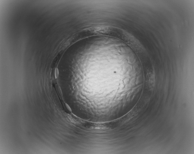 X0000084010506200702161205