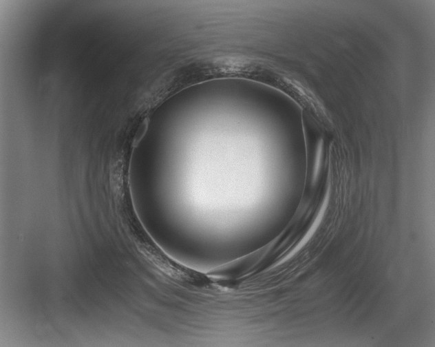 X0000084010509200702161205