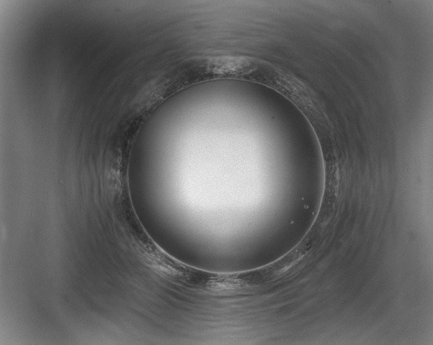 X0000084010510200702161205