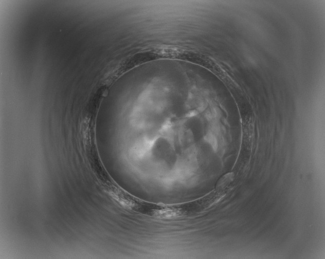 X0000084010511200702161205