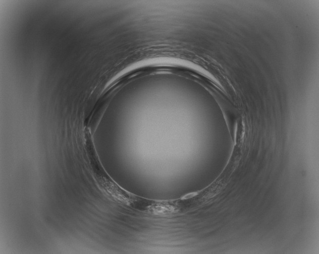 X0000084010512200702161205