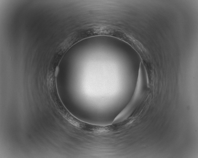 X0000084010513200702161205