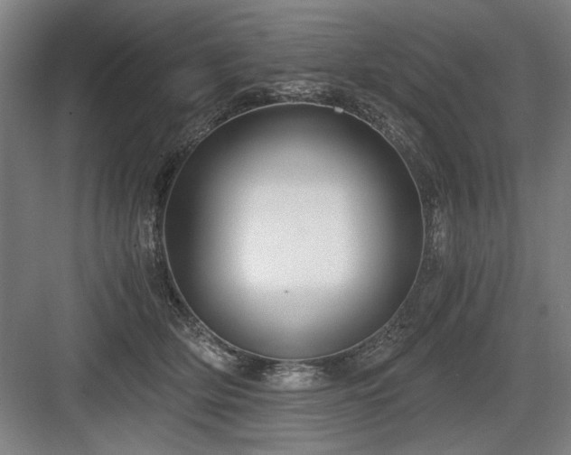 X0000084010514200702161205