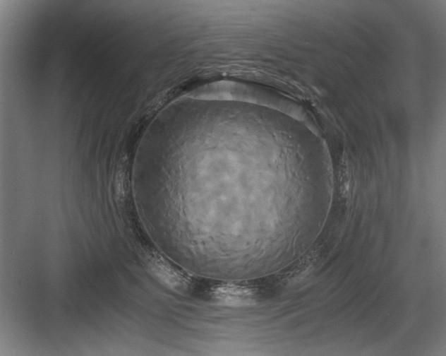 X0000084010515200702161205