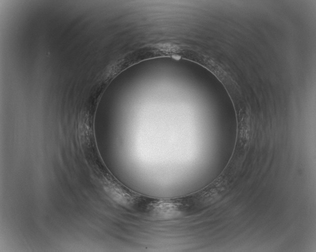 X0000084010518200702161205