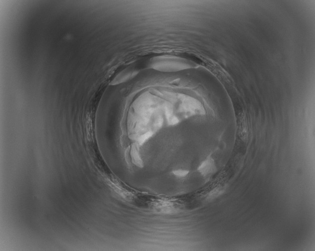 X0000084010523200702161205