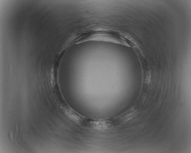 X0000084010524200702161205