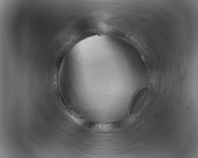 X0000084010526200702161205