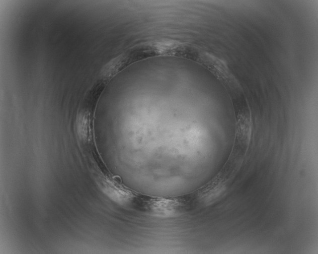 X0000084010527200702161205