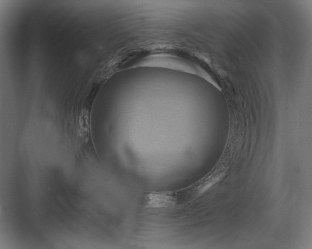 X0000084010528200702161205