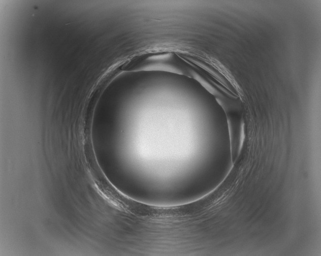 X0000084010530200702161204