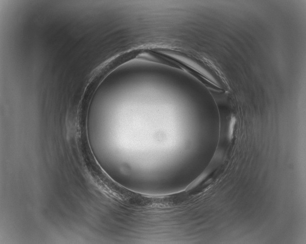X0000084010536200702161204