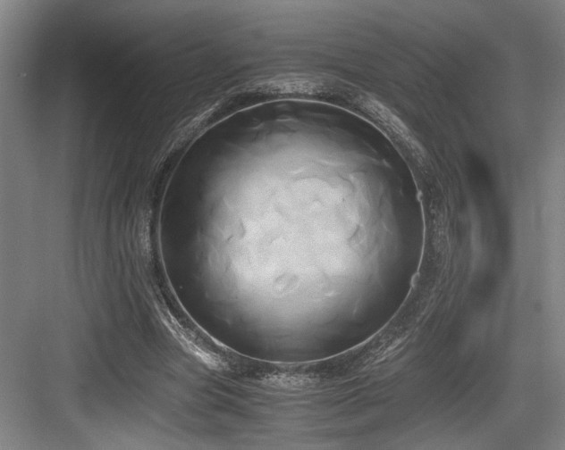X0000084010537200702161204