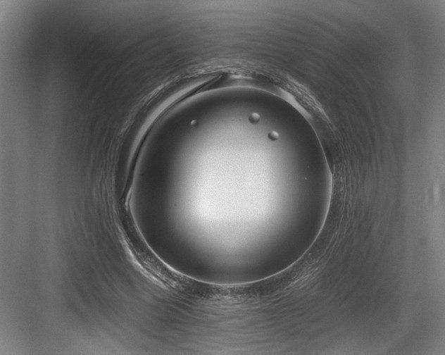 X0000084010538200702161204