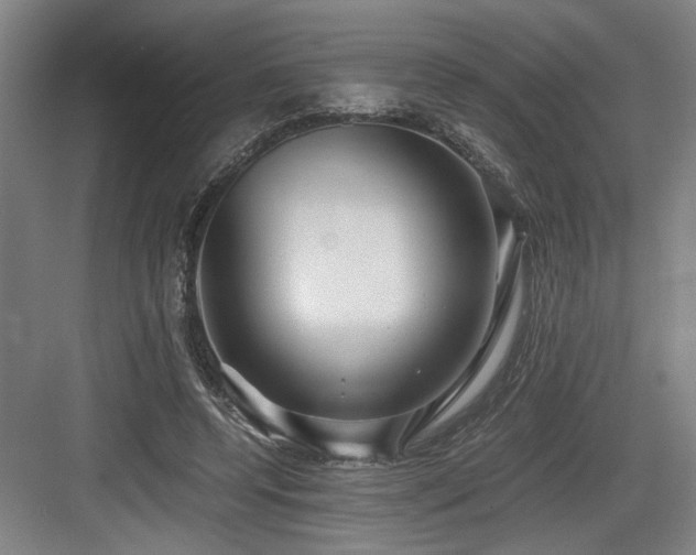X0000084010544200702161204