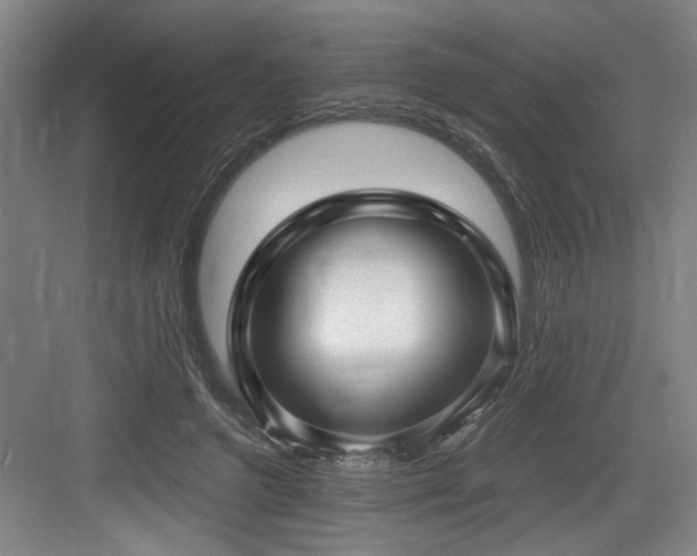 X0000084010546200702161204