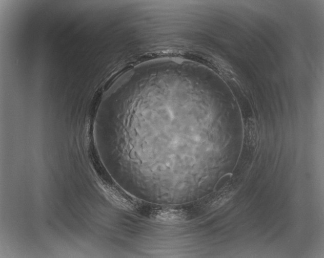 X0000084010550200702161204