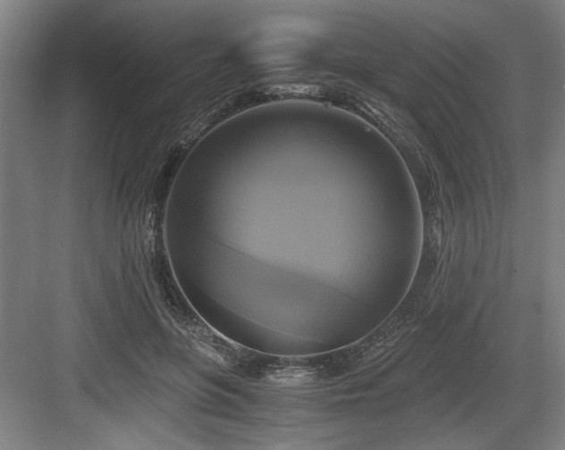 X0000084010551200702161204