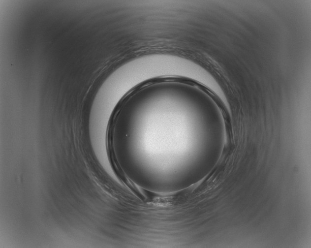 X0000084010552200702161204
